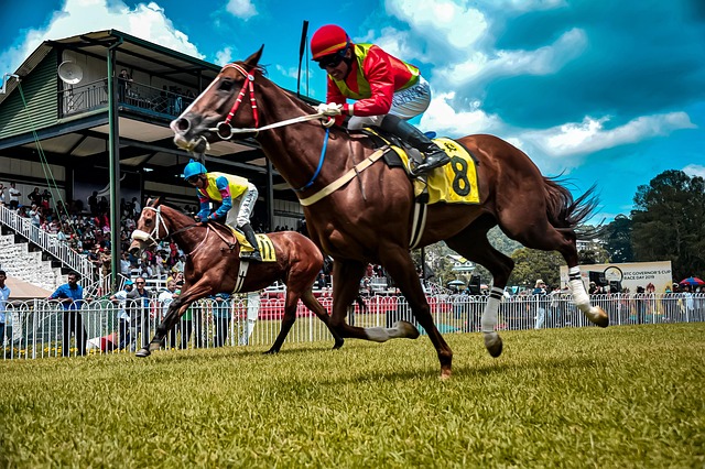 Epsom Derby賠率<br>市場深度分析