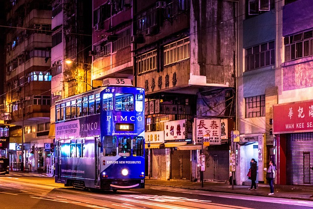 賽馬集合泡沫效應<br>數據報告與策略